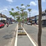 Arari para o mundo ver