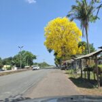 Parei para tirar uma fotografia