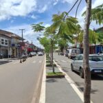 Arari para o mundo ver